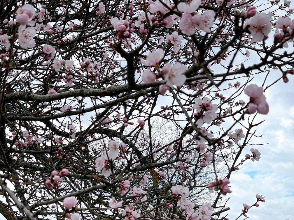 23-03-13 10-49-39 4826